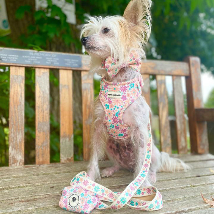 Pet Poop Bag Holder - Blossom