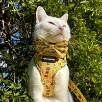 Pet Bow Tie - Paws Ahoy
