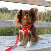 Fabric Dog Lead - Woody the Snail