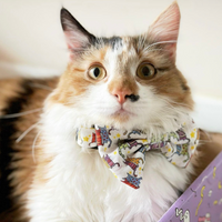 Pet Bow Tie - Kitty Cool Cats