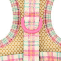 Adjustable Cat Harness - Aurora