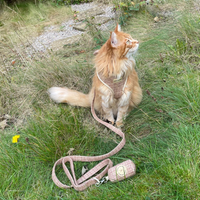 Adjustable Cat Harness - Highland Spark