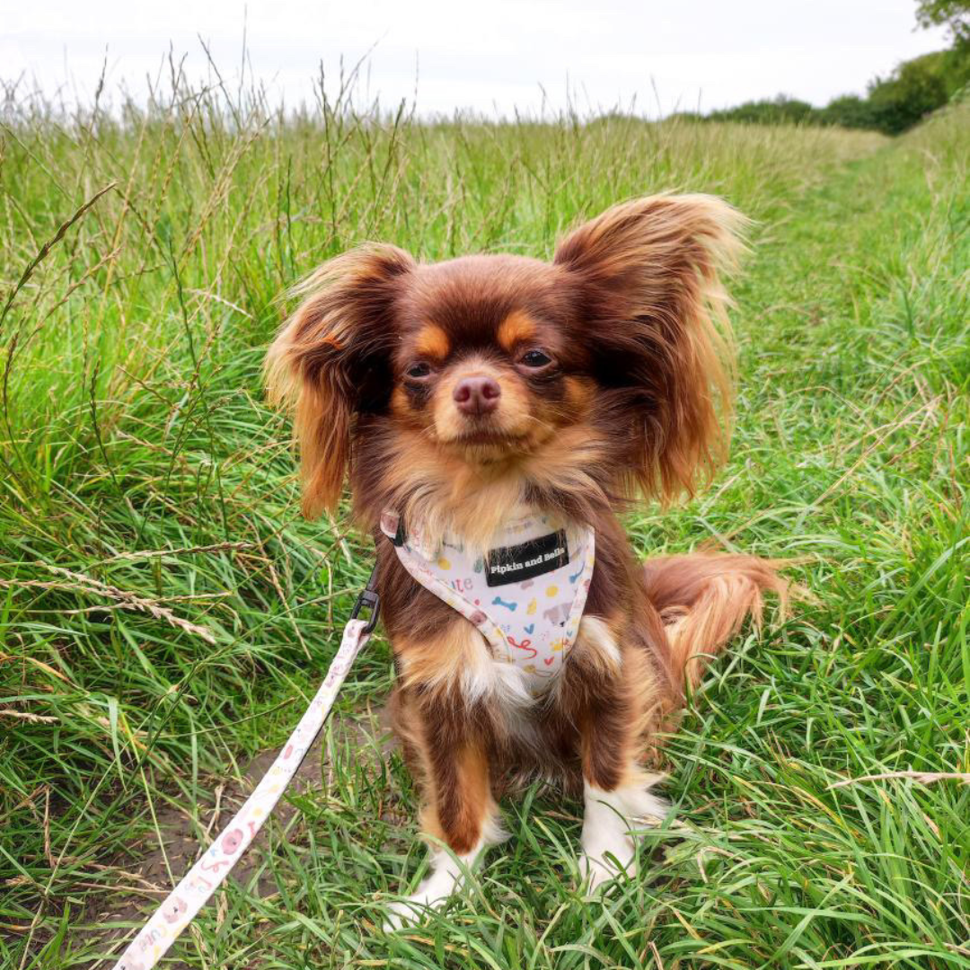 Fabric Dog Lead - Cute Fur Baby