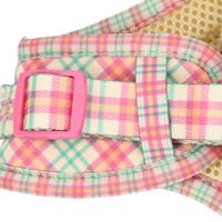 Adjustable Cat Harness - Aurora