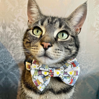 Pet Bow Tie - Kitty Cool Cats