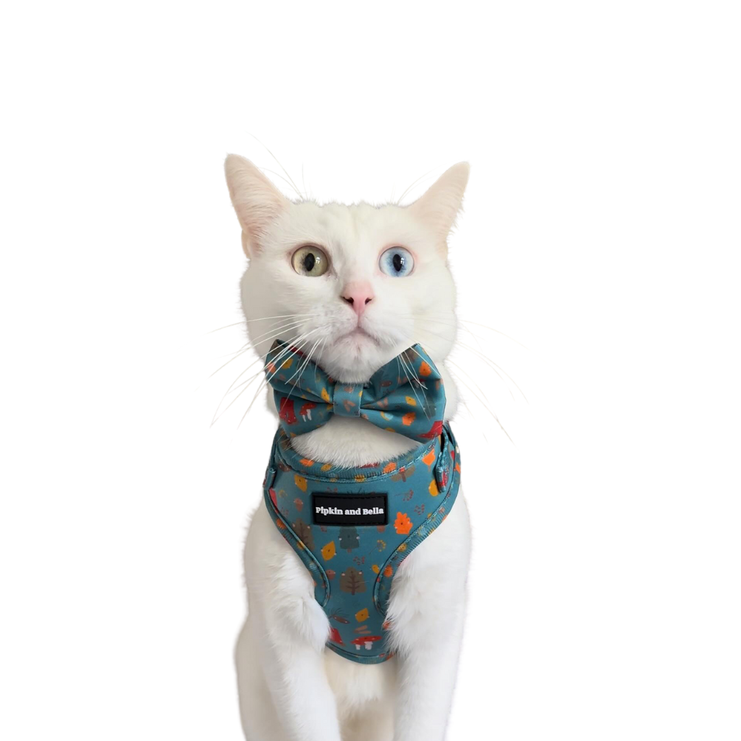 Adjustable Cat Harness Wellie Walkies