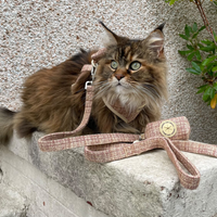 Adjustable Cat Harness - Highland Spark
