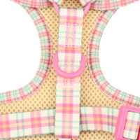 Adjustable Cat Harness - Aurora