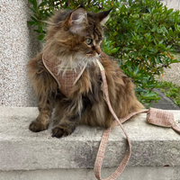 Adjustable Cat Harness - Highland Spark