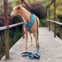 Pet Poop Bag Holder - Wellie Walkies