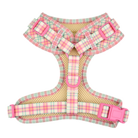 Adjustable Cat Harness - Aurora