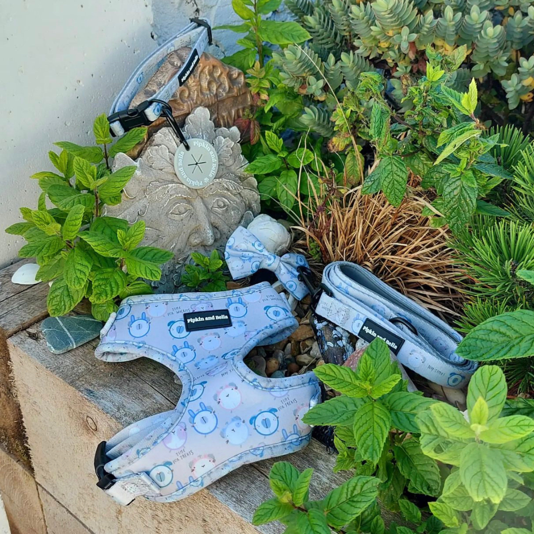 Adjustable Dog Harness - Tick Tock