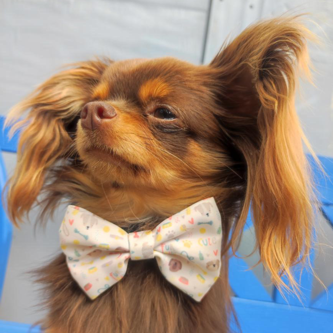 Pet Bow Tie - Cute Fur Baby