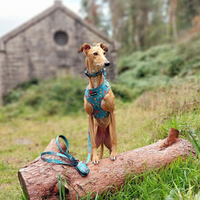 Pet Poop Bag Holder - Wellie Walkies