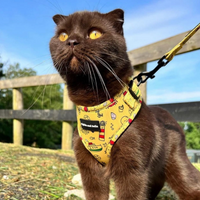 Fabric Cat Lead - Paws Ahoy