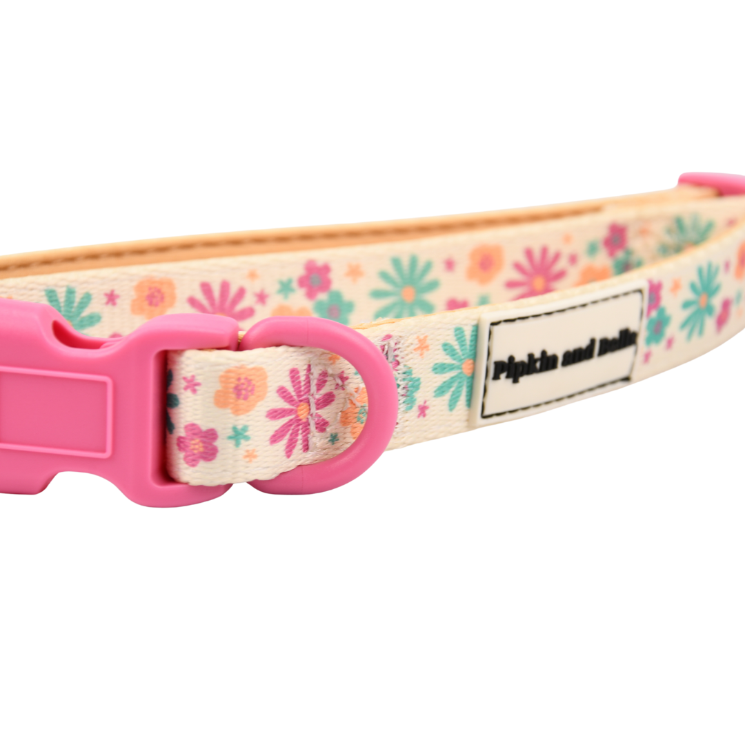Adjustable Dog Collar - Blossom