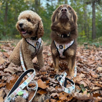 Fabric Dog Lead - Monster Mash