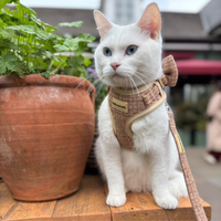 Adjustable Cat Harness - Highland Spark