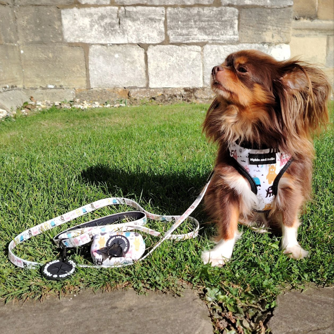 Fabric Dog Lead - Monster Mash