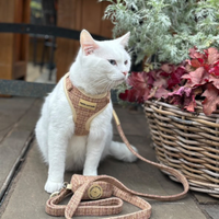Adjustable Cat Harness - Highland Spark