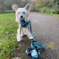 Pet Poop Bag Holder - Wellie Walkies