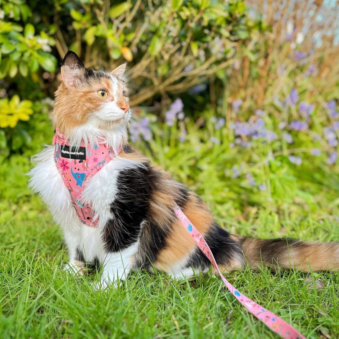 Fabric Cat Lead - Ellie Funk