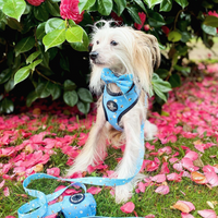 Pet Poop Bag Holder - Bee Love