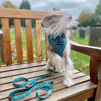 Adjustable Dog Harness - Wellie Walkies