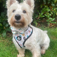Pet Bow Tie - Monster Mash