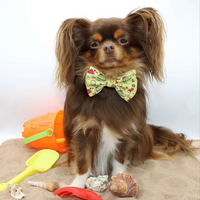 Pet Bow Tie - Paws Ahoy
