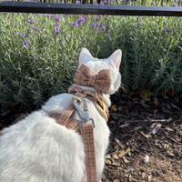Adjustable Cat Harness - Highland Spark