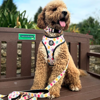 Fabric Dog Lead - Jellie Bubba