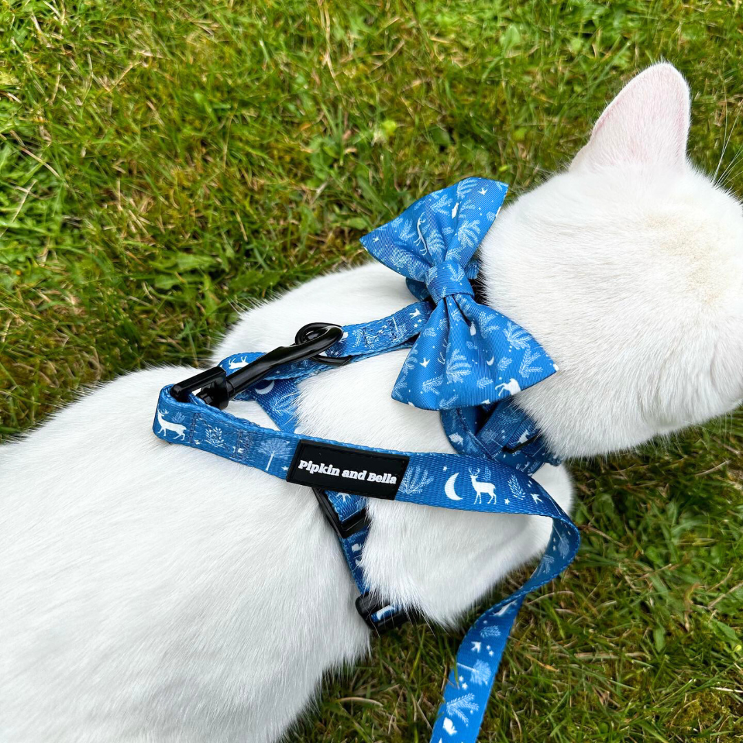 Adjustable Cat Collar - Moonlight Walk
