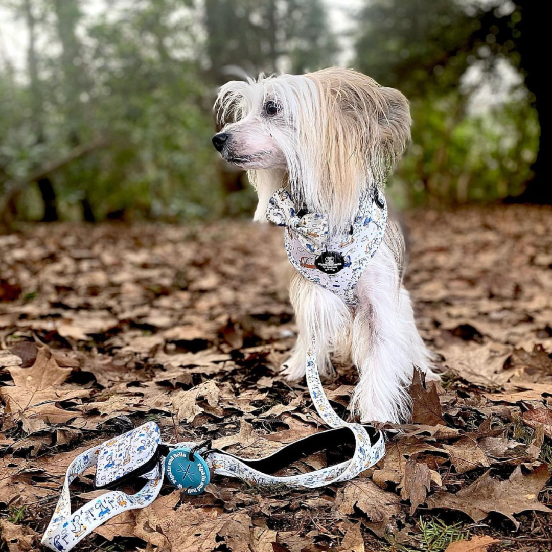 Pet Poop Bag Holder - Dino Races