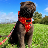 Fabric Cat Lead - Woody the Snail