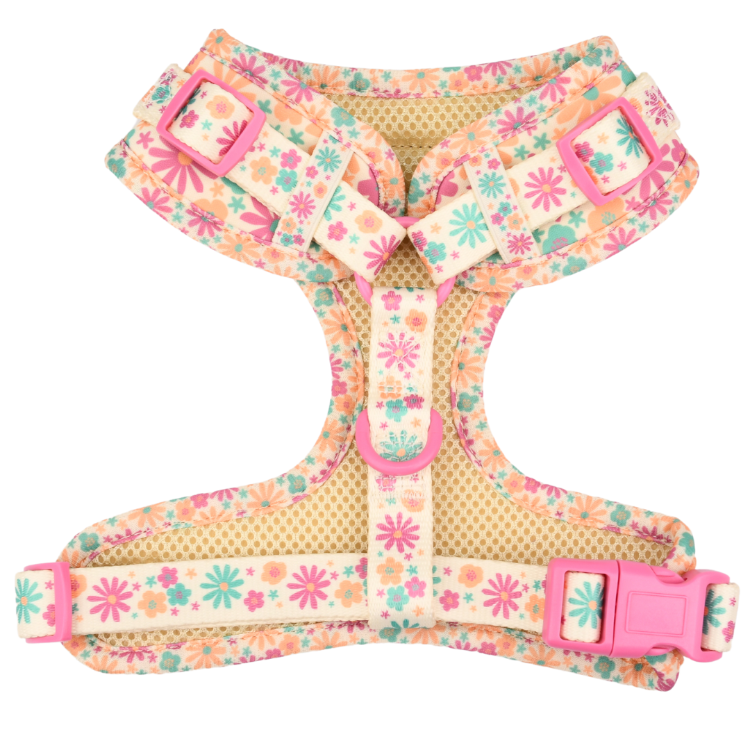 Adjustable Dog Harness - Blossom