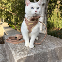 Adjustable Cat Harness - Highland Spark