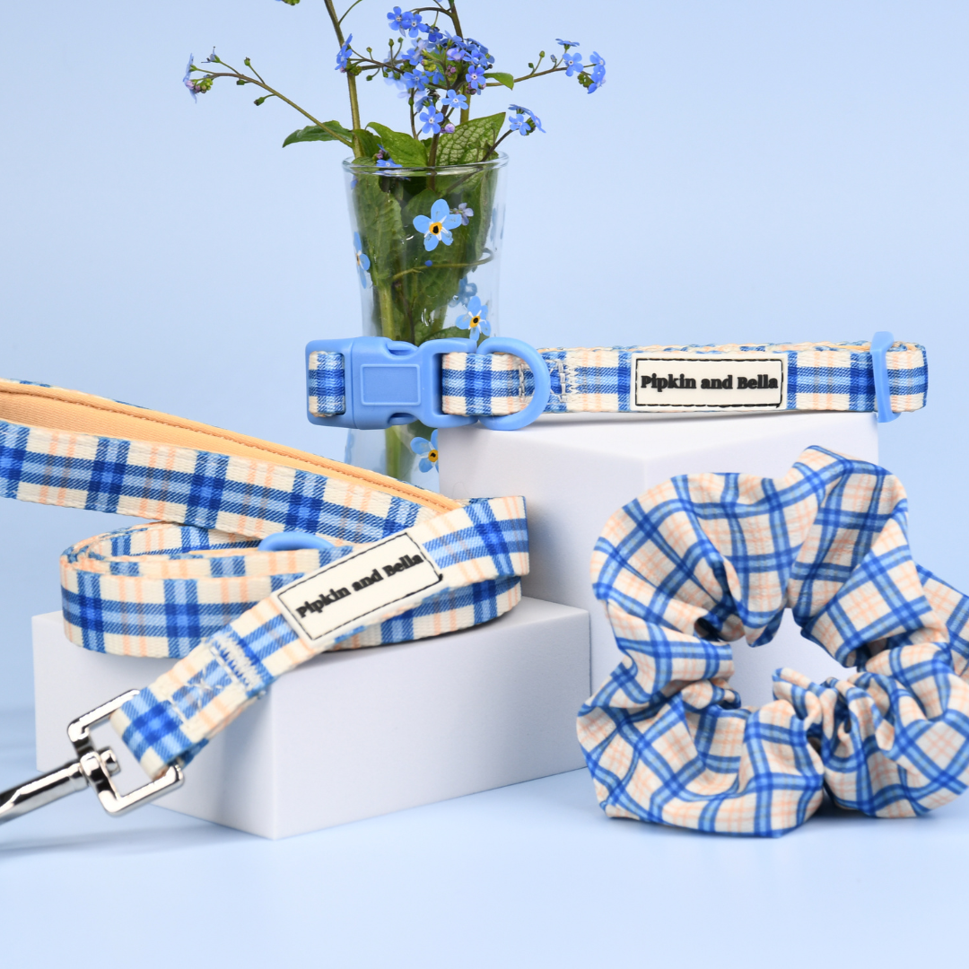 Adjustable Dog Collar - Twilight