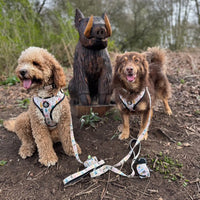 Adjustable Dog Harness - Monster Mash