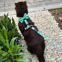 Fabric Cat Lead - Heart 2 Heart