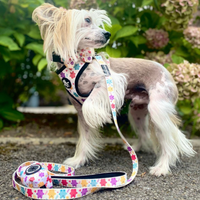 Adjustable Dog Harness - Jellie Bubba