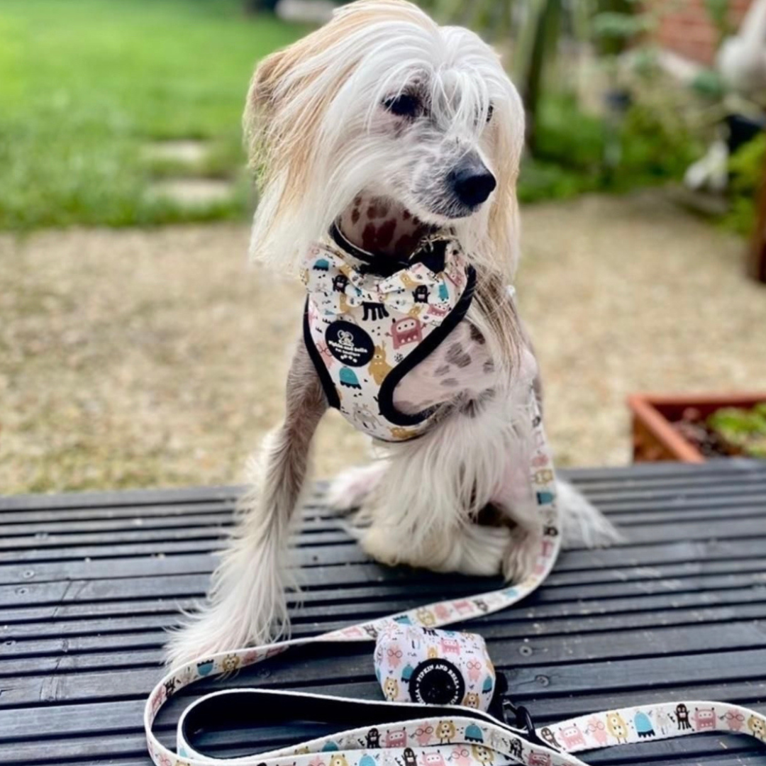 Fabric Dog Lead - Monster Mash