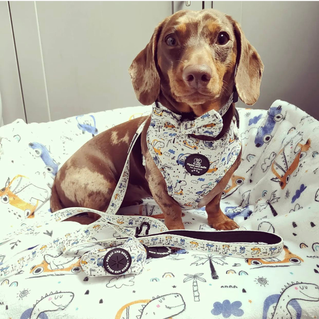 Pet Poop Bag Holder - Dino Races