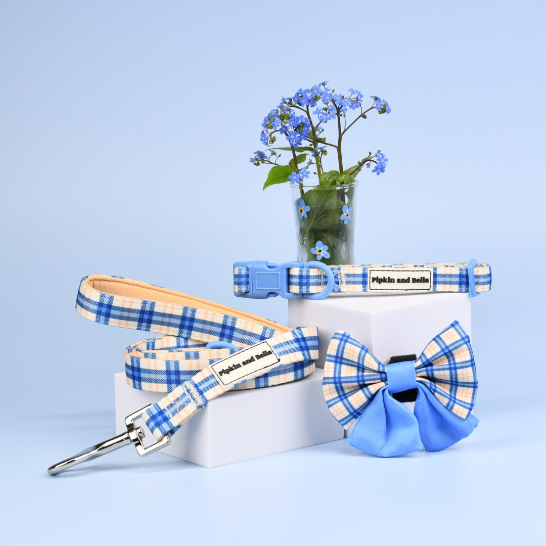 Adjustable Dog Collar - Twilight