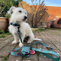 Pet Poop Bag Holder - Wellie Walkies