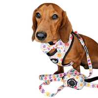 Adjustable Dog Harness - Jellie Bubba