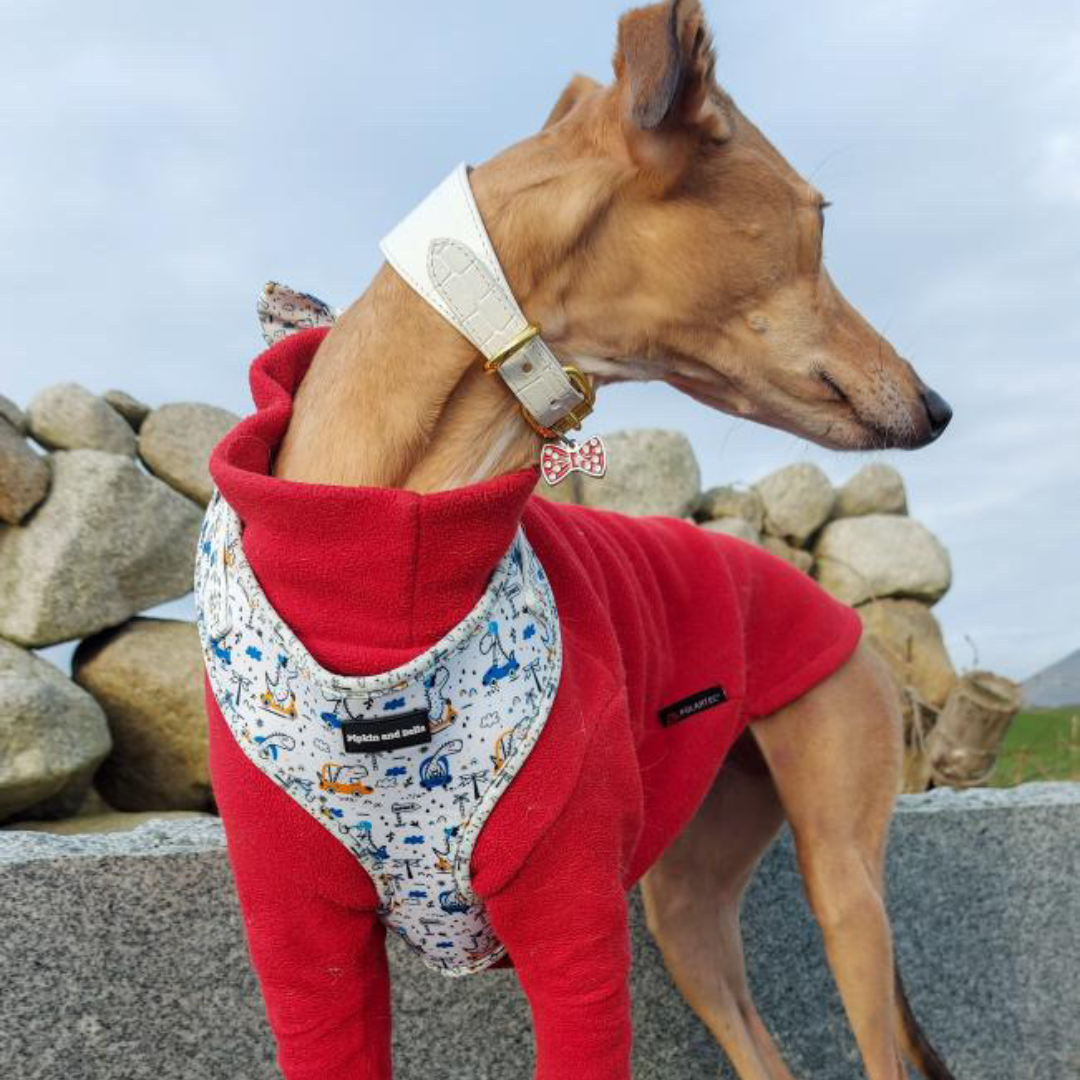 Adjustable Dog Harness - Dino Races