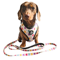 Adjustable Dog Harness - Jellie Bubba