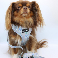 Fabric Dog Lead - Tick Tock