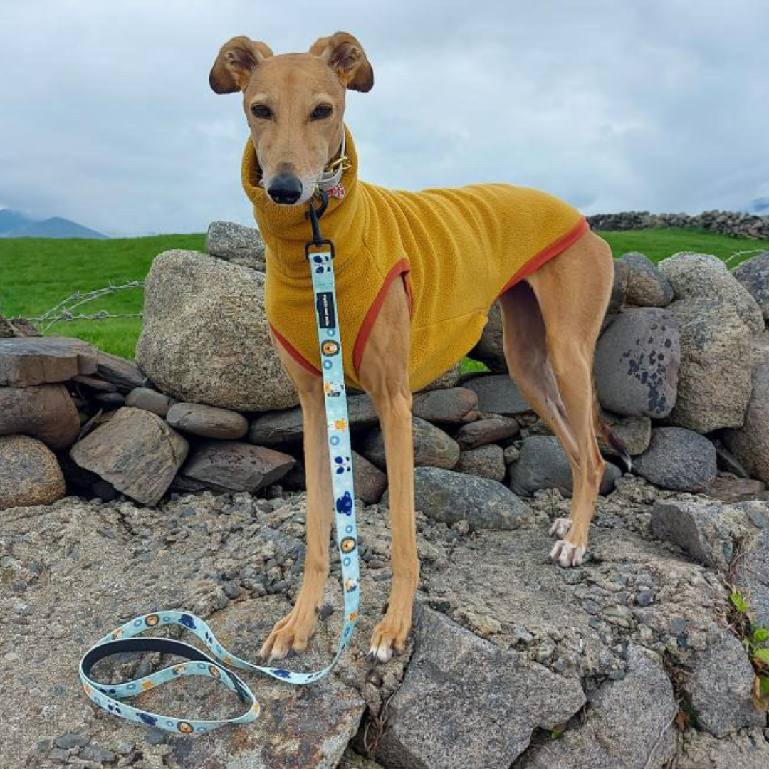 Fabric Dog Lead - Safari